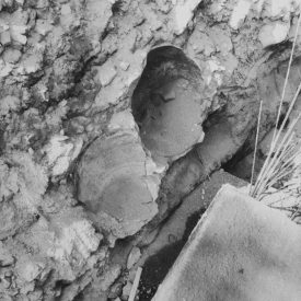 Imagen por defecto